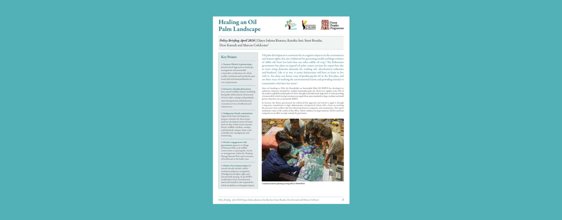 Healing an Oil Palm Landscape in Indonesia