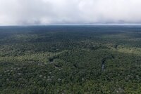 Investigaciones periodísticas revelan que las inversiones en bonos de carbono en la Amazonia colombiana no respetan los derechos de los Pueblos indígenas