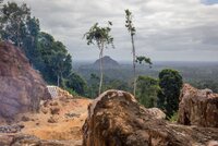 EU makes step forward towards tackling commodity driven deforestation and associated human rights abuse