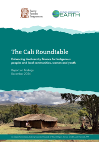 The Cali Roundtable Report – making biodiversity funding work for Indigenous peoples, local communities, women and youth