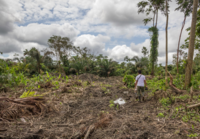 Colombia revierte los derechos humanos fundamentales en medio de la crisis COVID-19 causando gran indignación