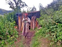 Press Release: Kenyan authorities burn down 28 homes belonging to indigenous Sengwer community in Embobut Forest