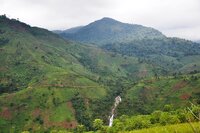 The African Commission sets a significant precedent for indigenous peoples' land rights in the context of conservation