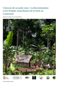 Citoyens de seconde zone : La discrimination et les Peuples Autochtones de la forêt au Cameroun