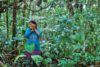 Indigenous communities secure multi-million dollar fines for Petroperu’s contamination of their Amazonian territories