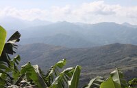 A criminal pattern of violent land invasions into Indigenous Bribri Territory continues with impunity - Salitre, Costa Rica