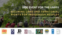 UNPFII Side event: Securing land and territorial rights for Indigenous Peoples