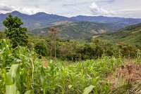 Indigenous organisations ask UN body to urge Peruvian Government to stop exclusionary conservation in Cordillera Azul National Park