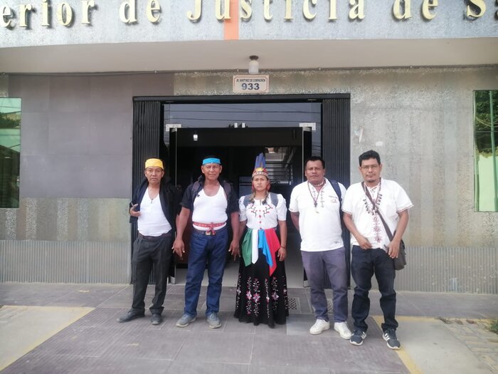 Peruvian Judiciary declares unconstitutional the lack of a national policy for titling Indigenous communities' territories in Peru