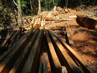 Pueblos indigenas declaran estado de emergencia ambiental en la Amazonia Peruana