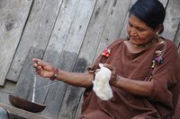 Showcase on Indigenous contributions to biodiversity conservation: Transformative Pathways website launches