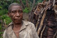 Nouveau rapport : De la coupe aux lèvres - le CLIP dans la Réserve de faune de Ngoyla au Cameroun