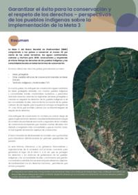 Garantizar_el_éxito_para_la_conservación_y__el_respeto_de_los_derechos_–_perspectivas__de_los_pueblos_indígenas_sobre_la__implementación_de_la_Meta_3.pdf