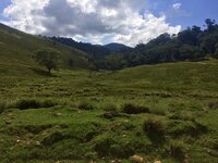 Community property in Kenya: Risks and opportunities