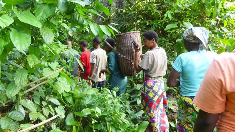 Mapping Shared Territories: A Collaborative Journey in the Republic of Congo