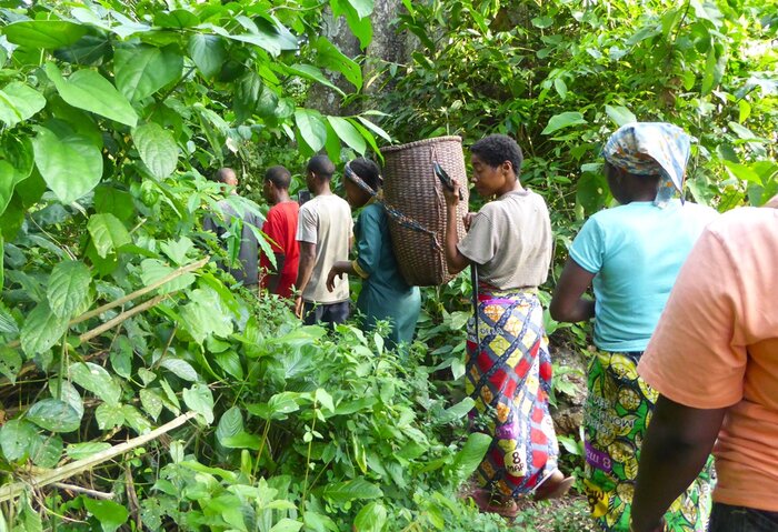 Cartographie de territoires partagés : un processus collaboratif en République du Congo
