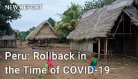 Peru - Rolling back safeguards in the time of COVID-19