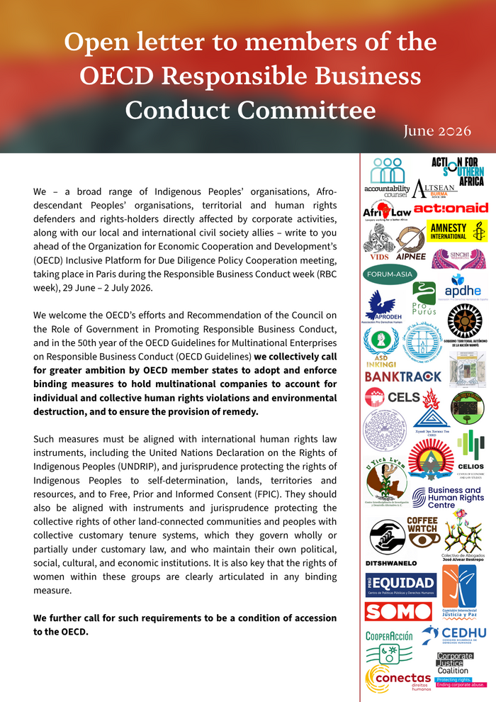 Open Letter to the members of the OECD Responsible Business Conduct Committee