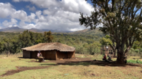 Caring for community lands – the case of the Mt Elgon Ogiek in Kenya