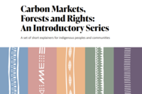Carbon Markets, Forests and Rights: An introductory series for indigenous peoples and communities
