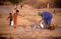 Media release & press briefing: The ways forward - indigenous and local perspectives on our biodiversity crisis  