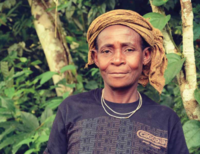 Community Forestry in Cameroon – an overview of the community perspective