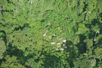 Press release: Writ of amparo filed for protection from forest concessions that threaten isolated peoples in Peru