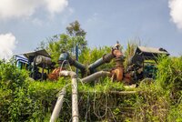 Comunicado de prensa: Un nuevo estudio resalta los impactos de la industria de la caña de azúcar sobre los derechos humanos de las comunidades negras en Colombia