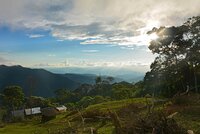 “No vemos el bosque por los arboles” – la realidad preocupante de la conservación en el Perú, y un camino para mejorarla