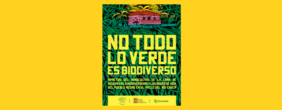 The Green Illusion: Impacts of the Sugar Cane Monoculture on the Biodiversity and Livelihoods of the Black People in the Cauca River Valley