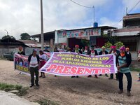 Kichwa Community of Puerto Franco Continues Legal Struggle in the Peruvian Courts to Reclaim Territory Taken by Cordillera Azul National Park