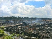 Press Release: Indigenous Peruvians urge European banks to hold commodities giant to account over forest destruction