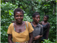 Ensuring Women's Participation in Community Forestry in Cameroon (French only)