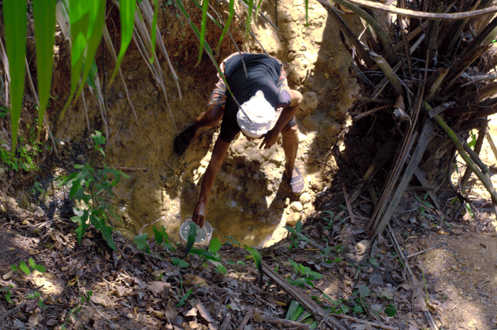 Propiedad de tierra, derechos humanos y certificación del aceite de palma en Montes de María, Colombia