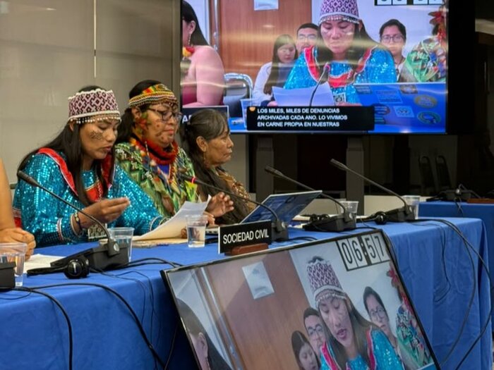 Three Amazonian women wearing colourful regalia sitting on a panel, there is a screen behind them projecting the image of the speaker, and a screen in front leaning on the long table showing the same
