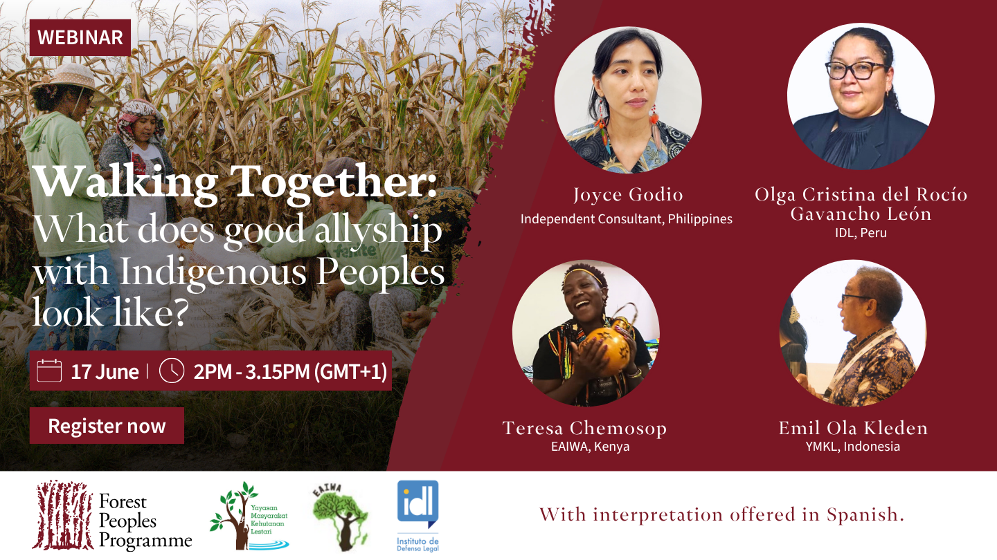 Walking Together: What does good allyship with Indigenous Peoples look like?