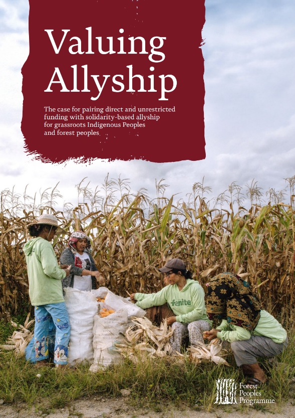 Report cover with a group of indigenous peoples stood in front of a crop with the title 'Valuing Allyship'