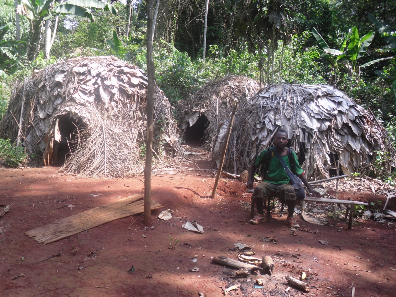 Experiencias de los pueblos indígenas de África con las políticas de salvaguardia - Ejemplos de Camerún y la cuenca del Congo | FPP